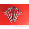bwg9x2.5" umbrella head roofing nail factory